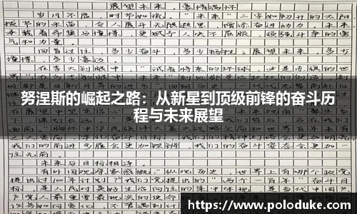 努涅斯的崛起之路：从新星到顶级前锋的奋斗历程与未来展望